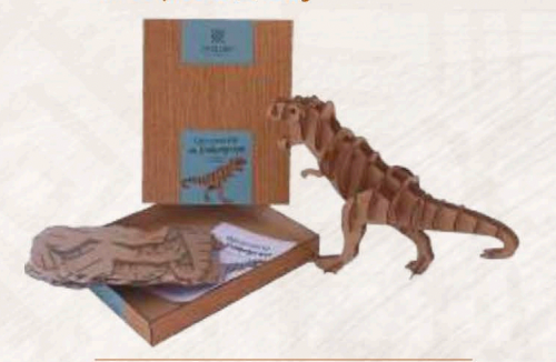 Coffret Dinosaures