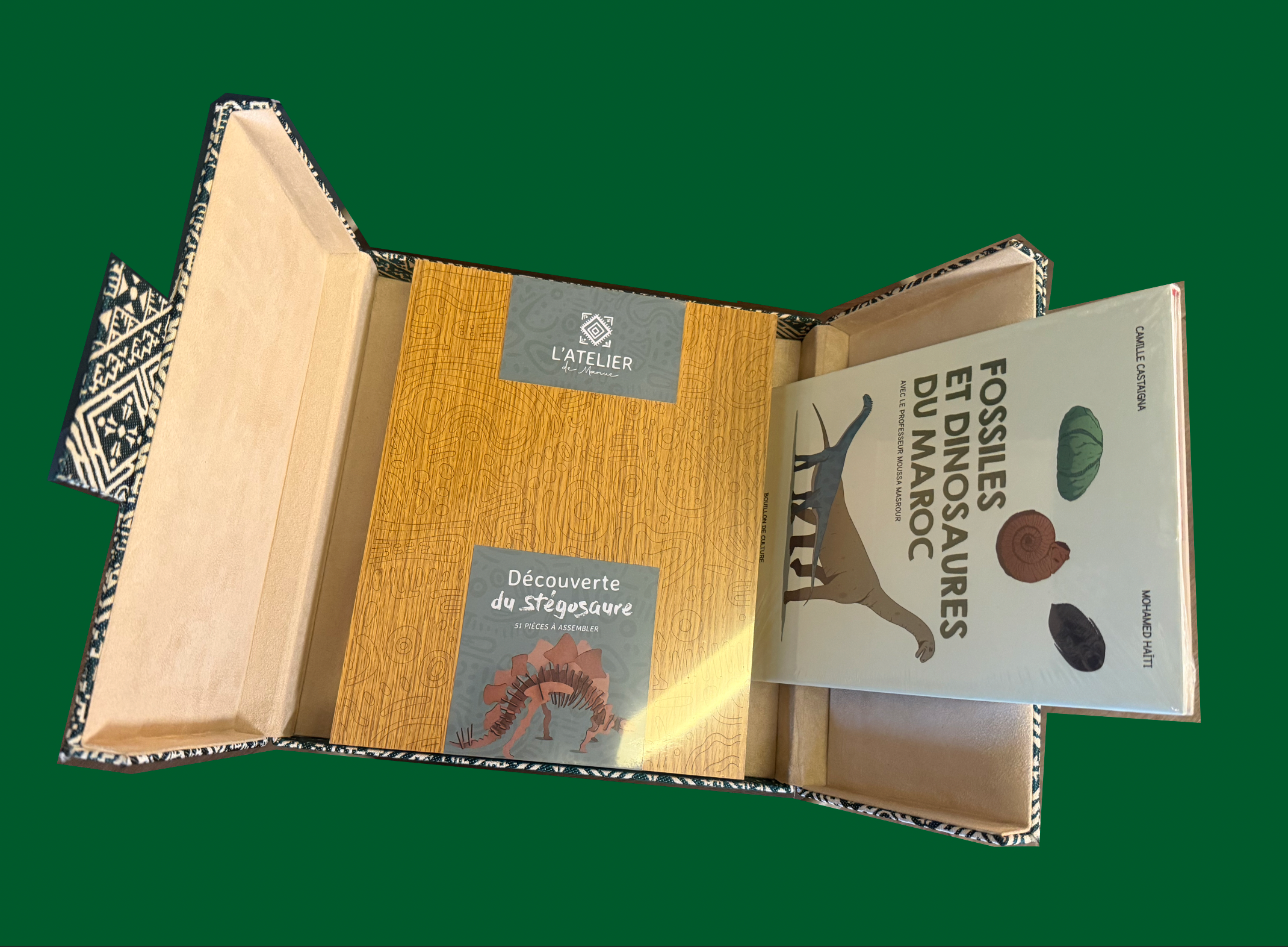 Coffret Dinosaures