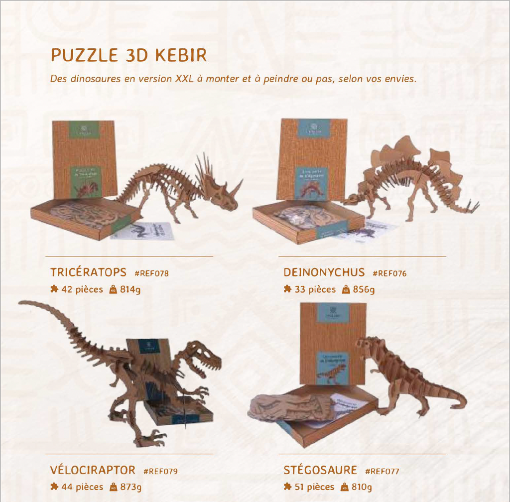 Coffret Dinosaures